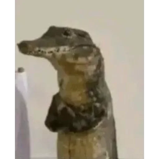 😀