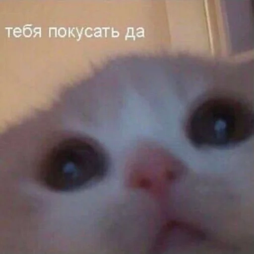 🙂
