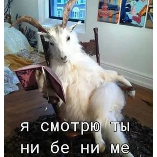 😀