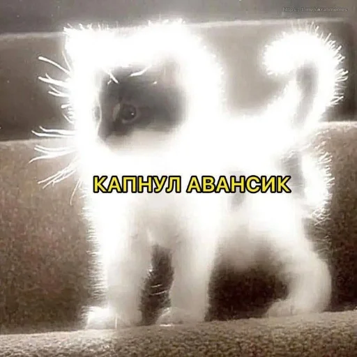🤑