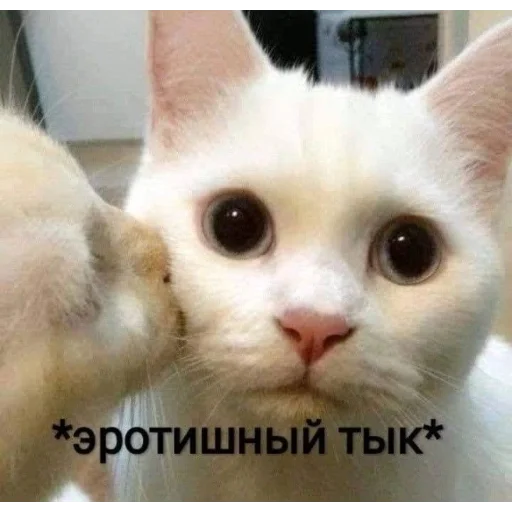 😀