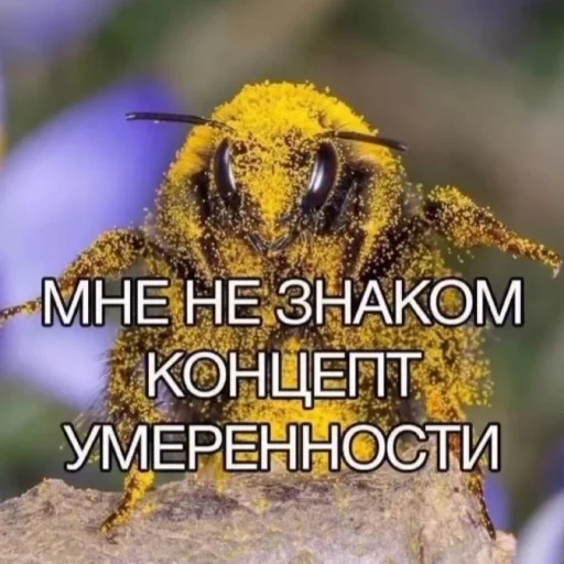 🙂