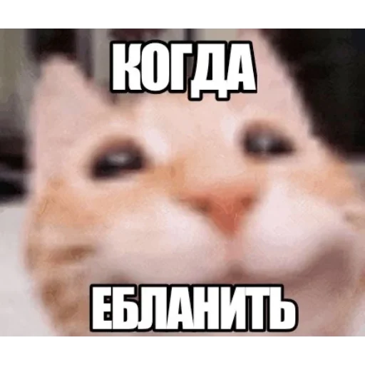 😀