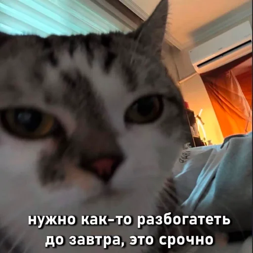 😀