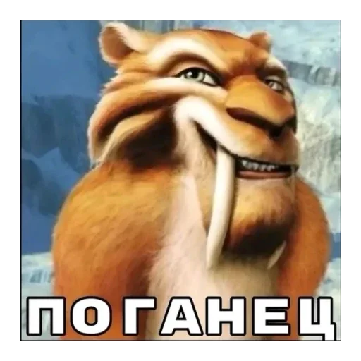 😼