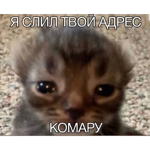 😀