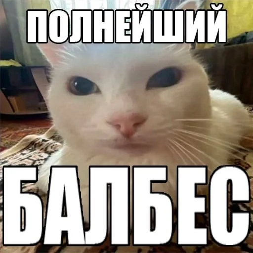 😒