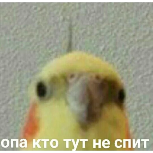 😀