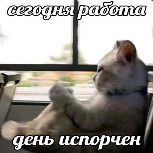 😒