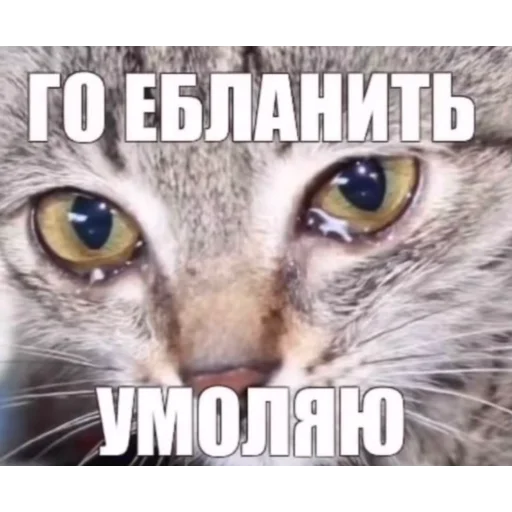 😀