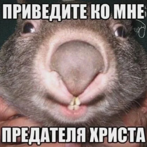 😀