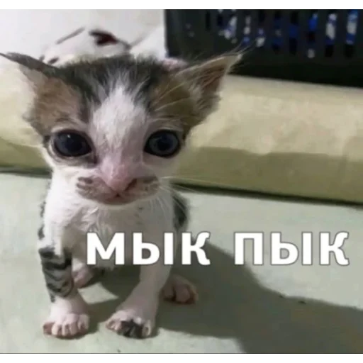 😀