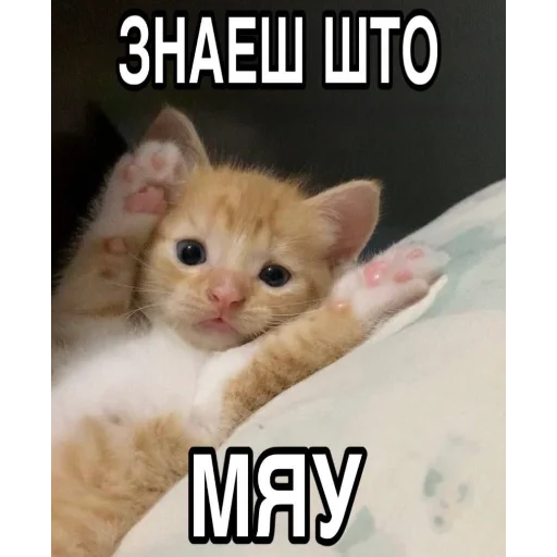 😀