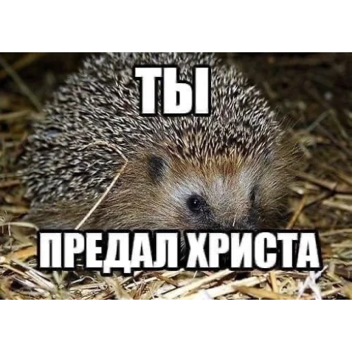 😀