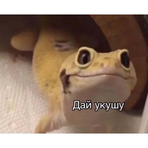 😀