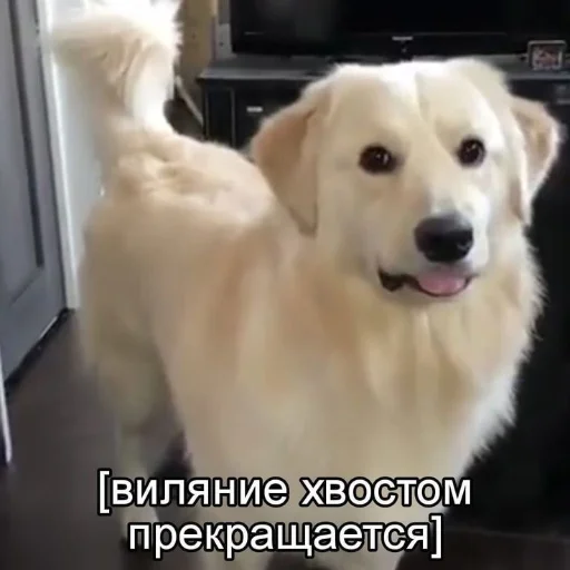 😀