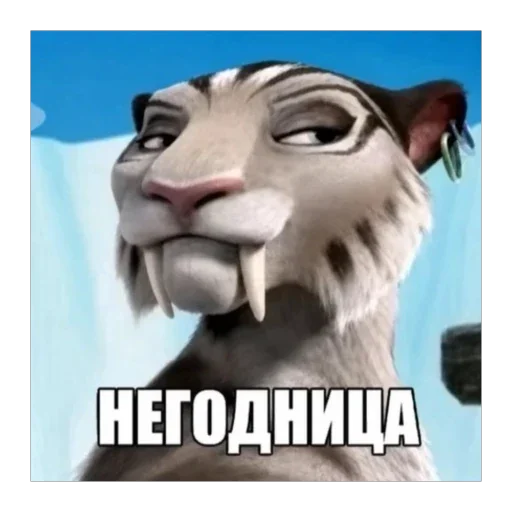 😼