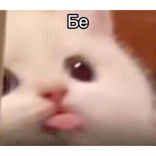😀