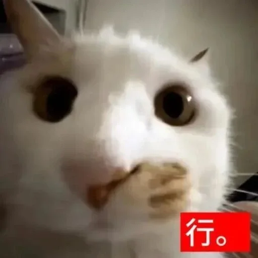 😀