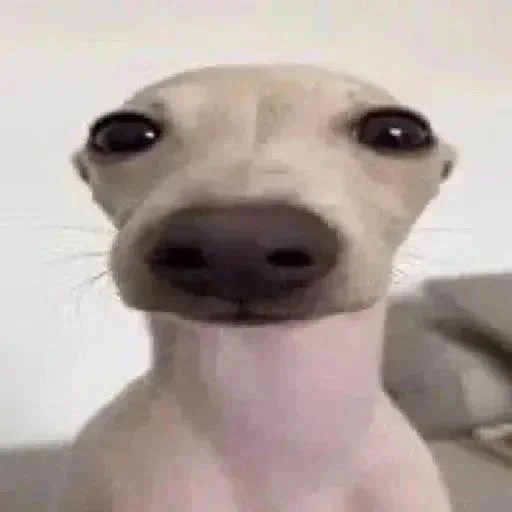😀