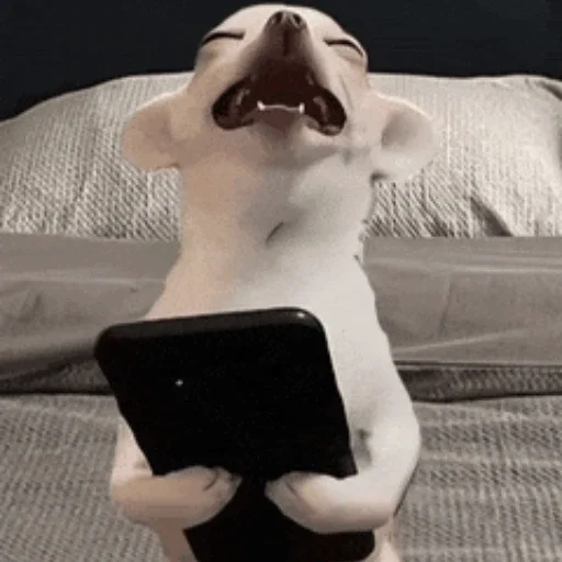 😀
