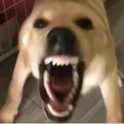 😀