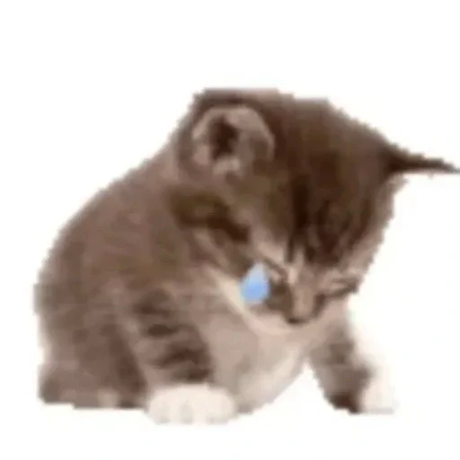 😭