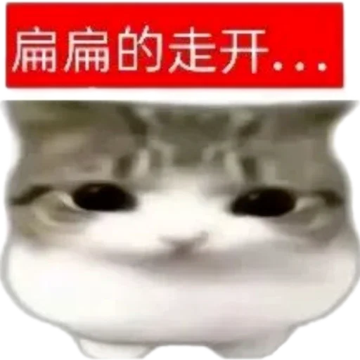 😀