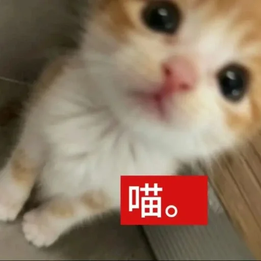😀