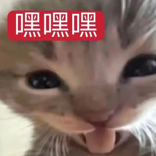 😀