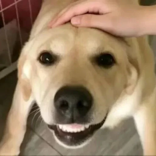 😀