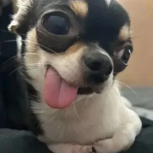 😏
