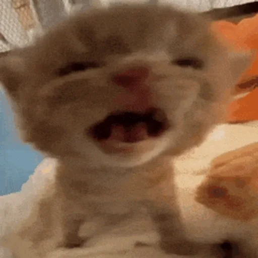 😀