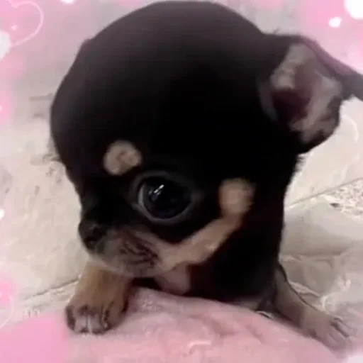 😀
