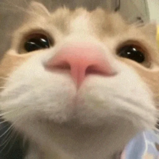 😀