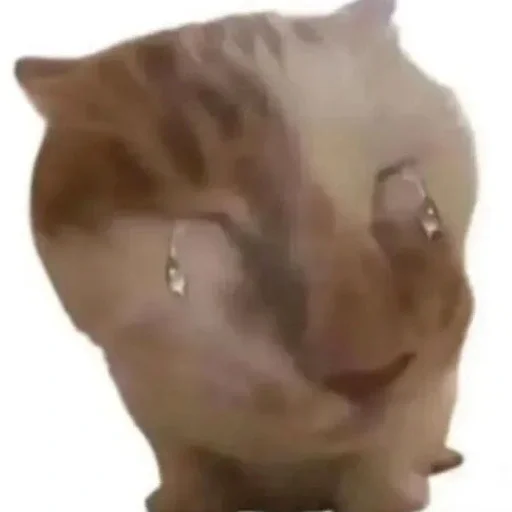 😀