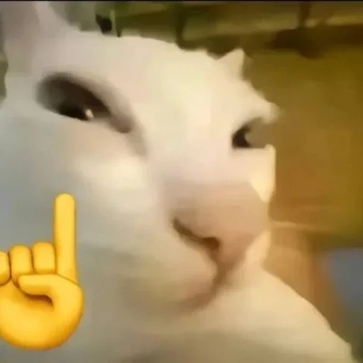 😀