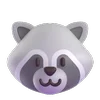 🦝