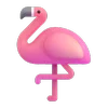 🦩
