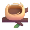 🪹
