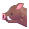 🐗