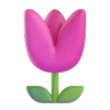 🌷
