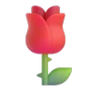 🌹