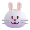 🐰