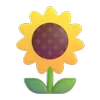 🌻
