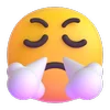 😤