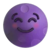 🌚
