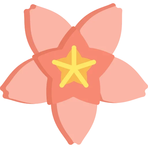 🌸