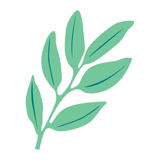 🌿
