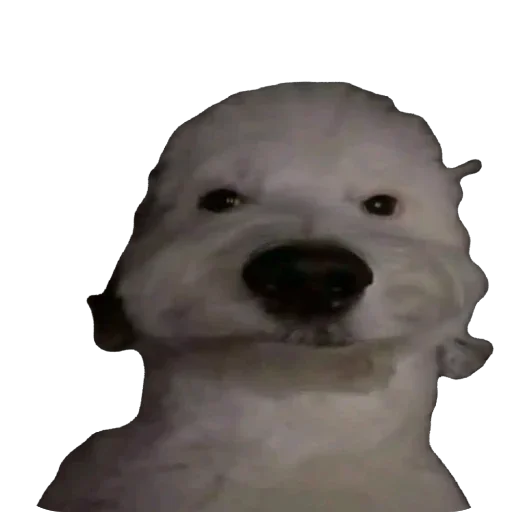 🫥